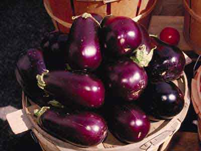  Aubergine